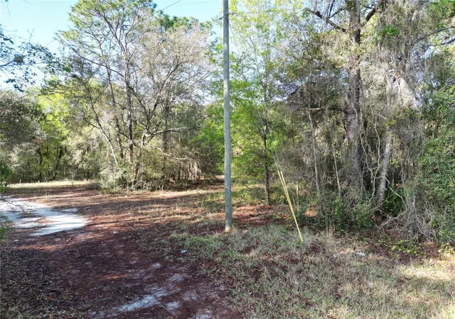 2nd image of 0000 E Hwy 25, Belleview, FL 34420 | MLS# G5109467