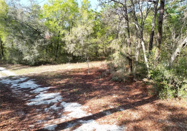 3rd image of 0000 E Hwy 25, Belleview, FL 34420 | MLS# G5109467