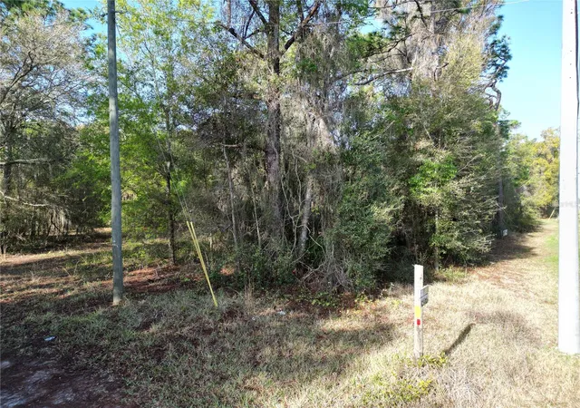 7th image of 0000 E Hwy 25, Belleview, FL 34420 | MLS# G5109467