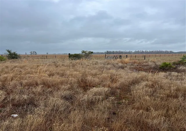Photo 2 of Land for sale at 1137 Hopkins Ln, Zolfo Springs, FL 33890 | MLS# L4960193 | Listing updated on 2026-08-30