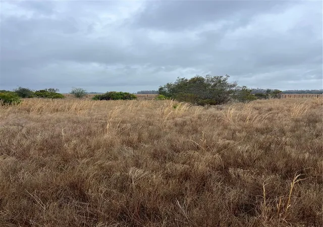 Photo 3 of Land for sale at 1137 Hopkins Ln, Zolfo Springs, FL 33890 | MLS# L4960193 | Listing updated on 2026-08-30