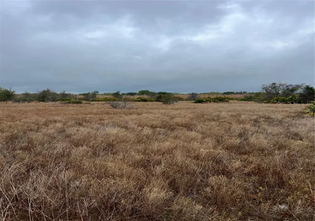 Photo 4 of Land for sale at 1137 Hopkins Ln, Zolfo Springs, FL 33890 | MLS# L4960193 | Listing updated on 2026-08-30