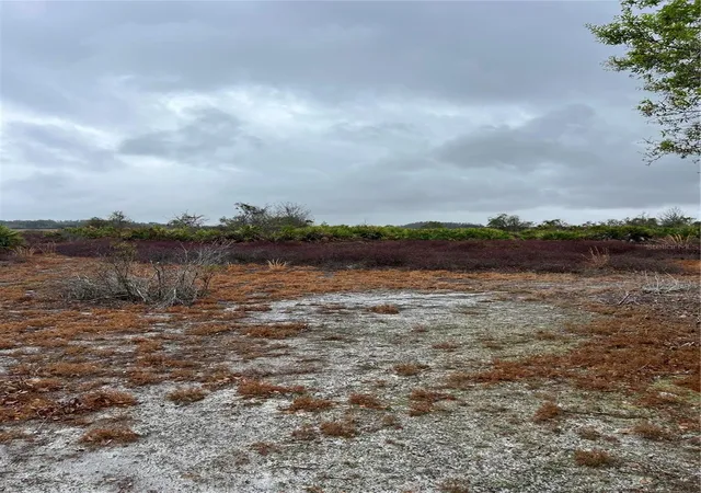 Photo 5 of Land for sale at 1137 Hopkins Ln, Zolfo Springs, FL 33890 | MLS# L4960193 | Listing updated on 2026-08-30