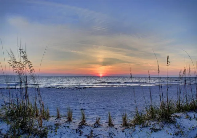 54th image of 86 Highland Rd, Tarpon Springs, FL 34689 | MLS# TB8485865