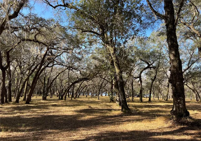 Photo 3 of Land for sale at 0 Forest 02 #2 SE 150th St, Umatilla, FL 32784 | MLS# G5109487 | Listing updated on 2026-08-06