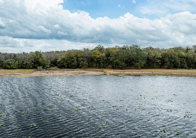 Photo 2 of Land for sale at 0 Forest 02 #2 Se 150th St, Umatilla, FL 32784 | MLS# G5109487 | Listing updated on 2026-08-06