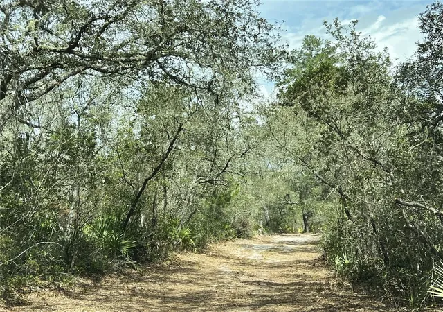 Photo 3 of Land for sale at 0 Forest 02 #2 Se 150th St, Umatilla, FL 32784 | MLS# G5109487 | Listing updated on 2026-08-06