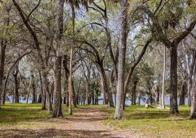 Photo 1 of Land for sale at 0 Forest 02 #2 Se 150th St, Umatilla, FL 32784 | MLS# G5109487 | Listing updated on 2026-08-06