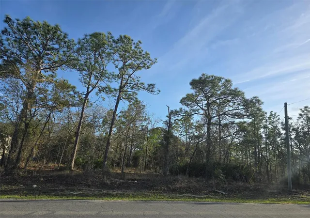 1st image of 13070 Quigley Ave, Weeki Wachee, FL 34614 | MLS# W7883849