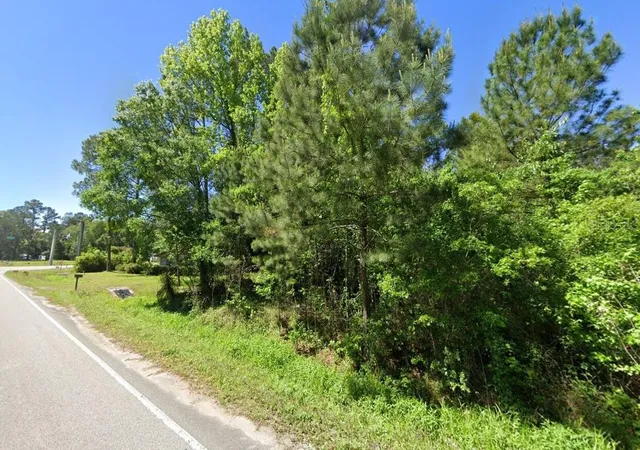 4th image of Baxley Rd, Middleburg, FL 32068 | MLS# GC538412