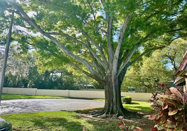 17th image of 1701 Pinehurst Rd #18C, Dunedin, FL 34698 | MLS# TB8486083
