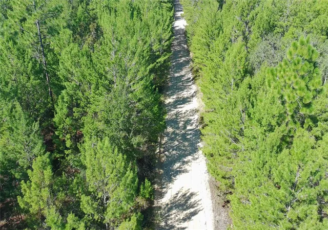 Photo 3 of Land for sale at 1802 Fern Ave, Interlachen, FL 32148 | MLS# S5145712 | Listing updated on 2026-10-16