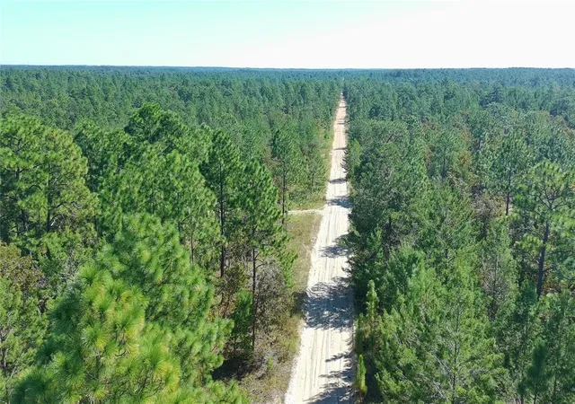 Photo 4 of Land for sale at 1802 Fern Ave, Interlachen, FL 32148 | MLS# S5145712 | Listing updated on 2026-10-16