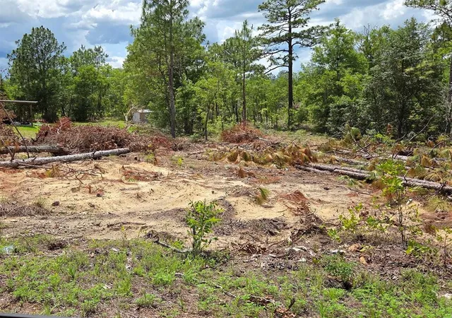 Homes for sale in Williston, FL | Tbd Ne 14th Pl, Williston, FL 32696 | MLS# OM720764