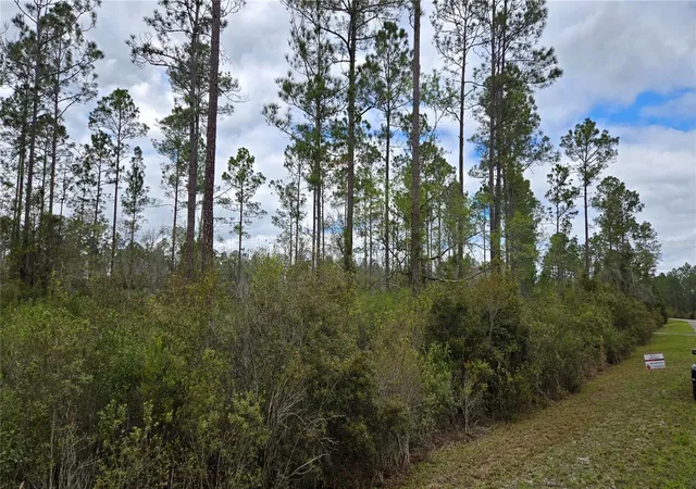 Photo 1 of Land for sale at Lot Nw 10 Natalie Way, Lake City, FL 32055 | MLS# GC538444 | Listing updated on 2026-09-12