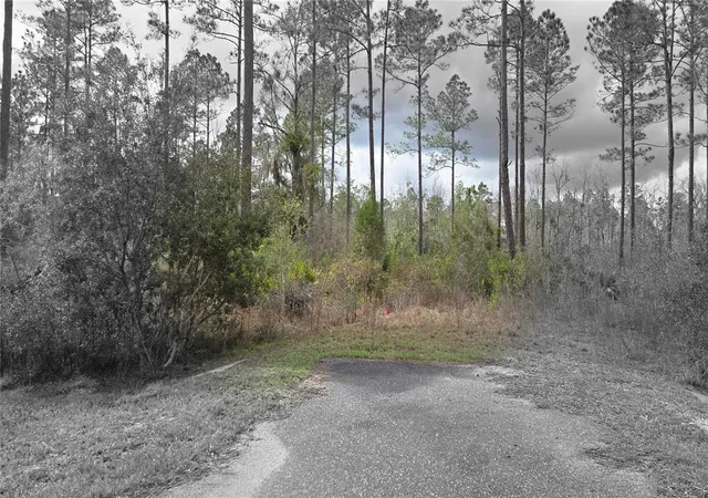 Photo 2 of Land for sale at Lot Nw 10 Natalie Way, Lake City, FL 32055 | MLS# GC538444 | Listing updated on 2026-09-12