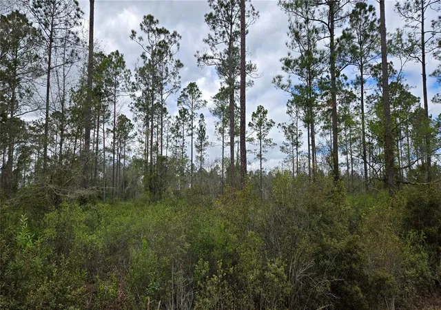 Photo 3 of Land for sale at Lot Nw 10 Natalie Way, Lake City, FL 32055 | MLS# GC538444 | Listing updated on 2026-09-12