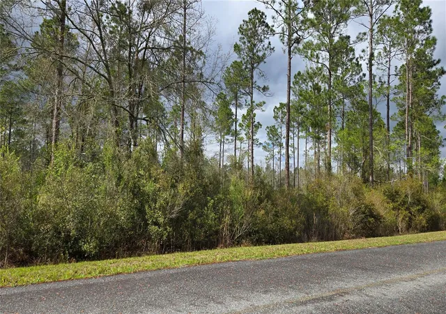 Photo 3 of Land for sale at Lot NW 10 Natalie Way, Lake City, FL 32055 | MLS# GC538444 | Listing updated on 2026-09-12