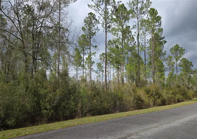 Photo 4 of Land for sale at Lot NW 10 Natalie Way, Lake City, FL 32055 | MLS# GC538444 | Listing updated on 2026-09-12