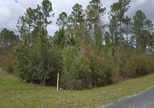 Photo 1 of Land for sale at Lot Nw 9 Natalie Way, Lake City, FL 32055 | MLS# GC538448 | Listing updated on 2026-09-12