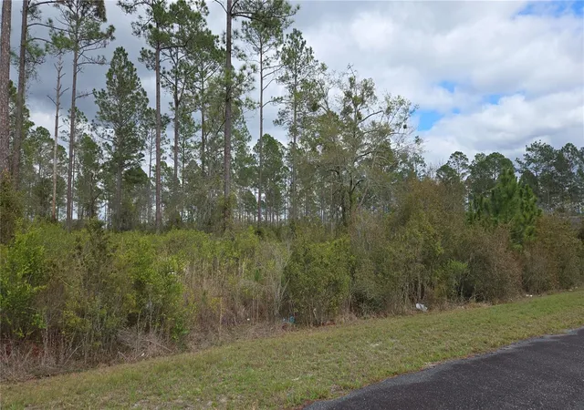 Photo 3 of Land for sale at Lot Nw 9 Natalie Way, Lake City, FL 32055 | MLS# GC538448 | Listing updated on 2026-09-12