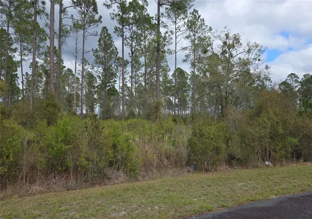 Photo 3 of Land for sale at Lot NW 9 Natalie Way, Lake City, FL 32055 | MLS# GC538448 | Listing updated on 2026-09-12