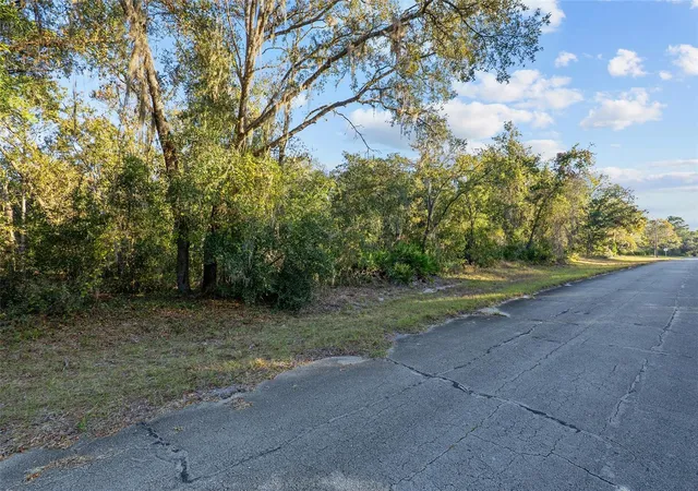 Photo 1 of Land for sale at Tbd Sw 174 Place, Ocala, FL 34473 | MLS# OM720795 | Listing updated on 2026-03-16