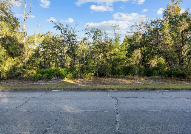 Photo 2 of Land for sale at Tbd Sw 174 Place, Ocala, FL 34473 | MLS# OM720795 | Listing updated on 2026-03-16