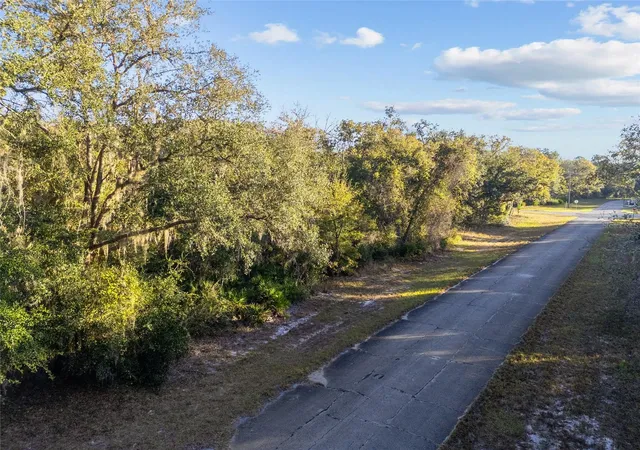 Photo 3 of Land for sale at Tbd SW 174 Place, Ocala, FL 34473 | MLS# OM720795 | Listing updated on 2026-03-16