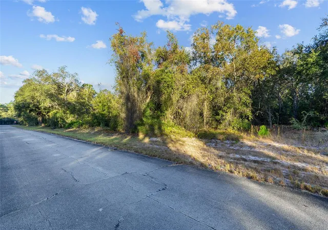 Photo 5 of Land for sale at Tbd SW 174 Place, Ocala, FL 34473 | MLS# OM720795 | Listing updated on 2026-03-16