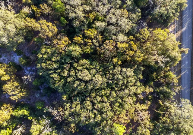 Photo 10 of Land for sale at Tbd Sw 174 Place, Ocala, FL 34473 | MLS# OM720795 | Listing updated on 2026-03-16