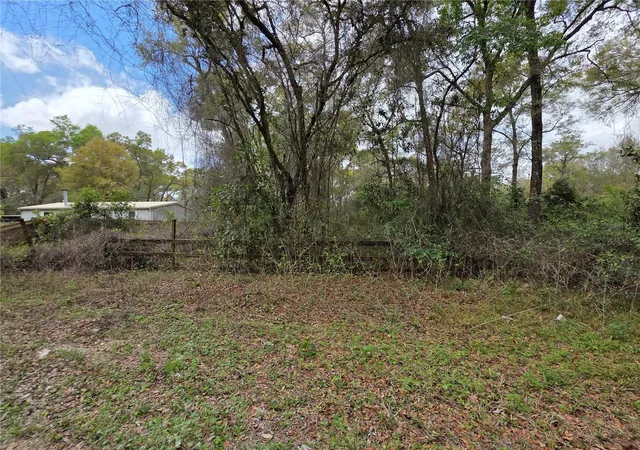 Photo 2 of Land for sale at 00 Se 30th Avenue, Summerfield, FL 34491 | MLS# OM720823 | Listing updated on 2026-03-15
