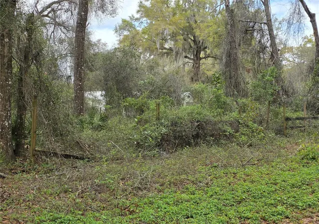 Photo 3 of Land for sale at 00 Se 30th Avenue, Summerfield, FL 34491 | MLS# OM720823 | Listing updated on 2026-03-15