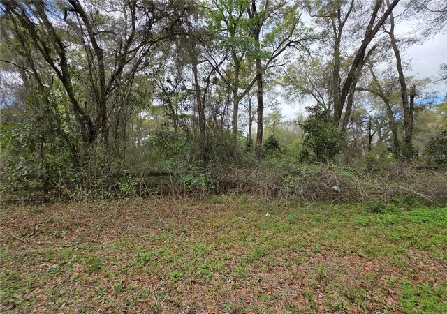 Photo 3 of Land for sale at 00 SE 30th Avenue, Summerfield, FL 34491 | MLS# OM720823 | Listing updated on 2026-03-15