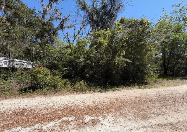 1st image of 300blk Nw 245th Ter, Newberry, FL 32669 | MLS# GC538467