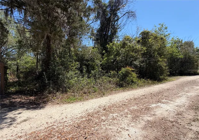 2nd image of 300blk Nw 245th Ter, Newberry, FL 32669 | MLS# GC538467