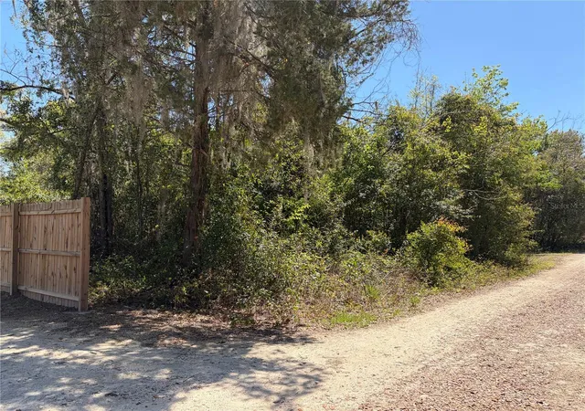 Photo 3 of Land for sale at 300blk Nw 245th Terrace, Newberry, FL 32669 | MLS# GC538467 | Listing updated on 2026-03-27