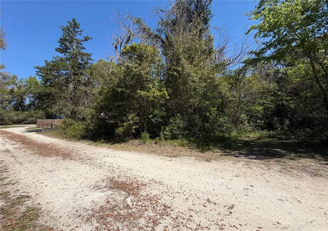 Photo 4 of Land for sale at 300blk NW 245th Terrace, Newberry, FL 32669 | MLS# GC538467 | Listing updated on 2026-03-27