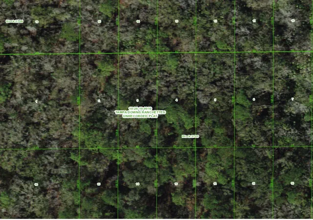 Photo 3 of Land for sale at Unassigned, Wesley Chapel, FL 33544 | MLS# TB8486683 | Listing updated on 2026-10-03