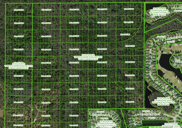 Photo 3 of Land for sale at Unassigned, Wesley Chapel, FL 33544 | MLS# TB8486683 | Listing updated on 2026-10-03