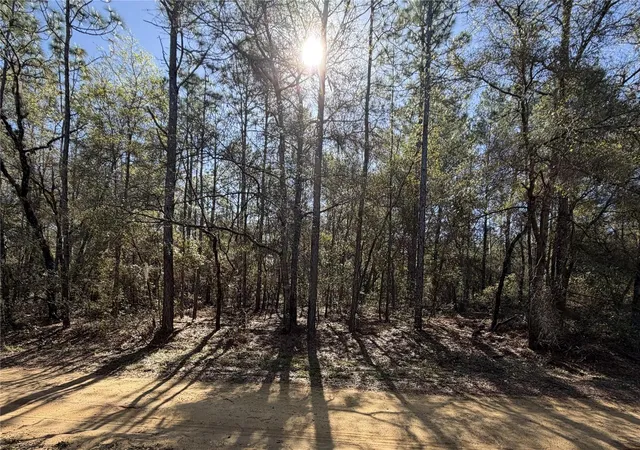 Photo 1 of Land for sale at Se 7th Avenue, Interlachen, FL 32148 | MLS# GC538478 | Listing updated on 2026-05-19