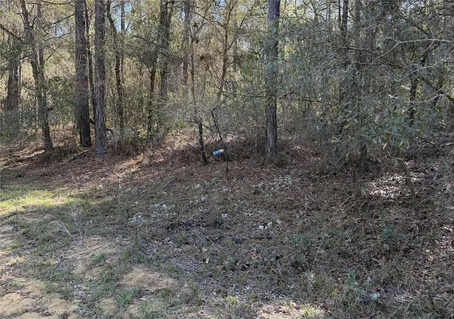Photo 2 of Land for sale at Se 7th Avenue, Interlachen, FL 32148 | MLS# GC538478 | Listing updated on 2026-05-19
