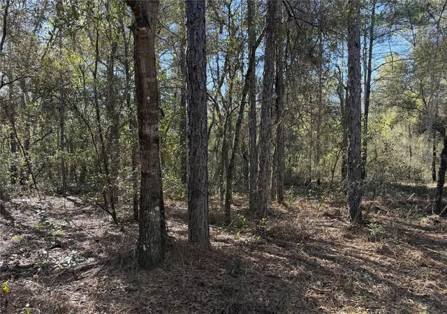 Photo 3 of Land for sale at Se 7th Avenue, Interlachen, FL 32148 | MLS# GC538478 | Listing updated on 2026-05-19