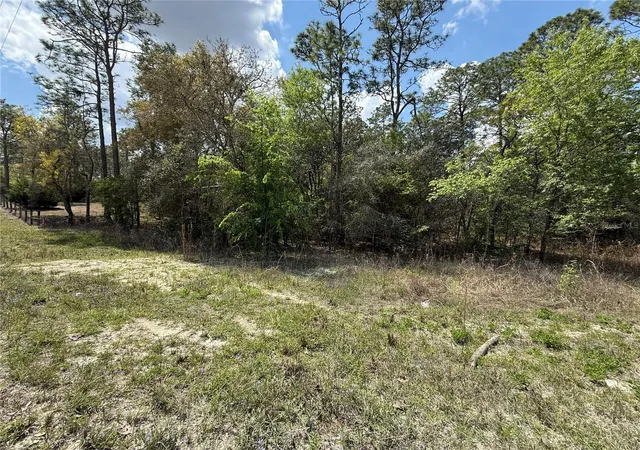 Homes for sale in Morriston, FL | 150th Ave, Morriston, FL 32668 | MLS# OM720868