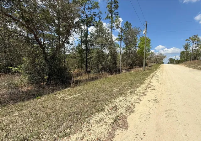 Homes for sale in Morriston, FL | 150Th Ave, Morriston, FL 32668 | MLS# OM720868