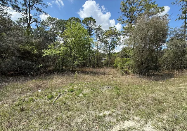 Homes for sale in Morriston, FL | 150Th Ave, Morriston, FL 32668 | MLS# OM720868