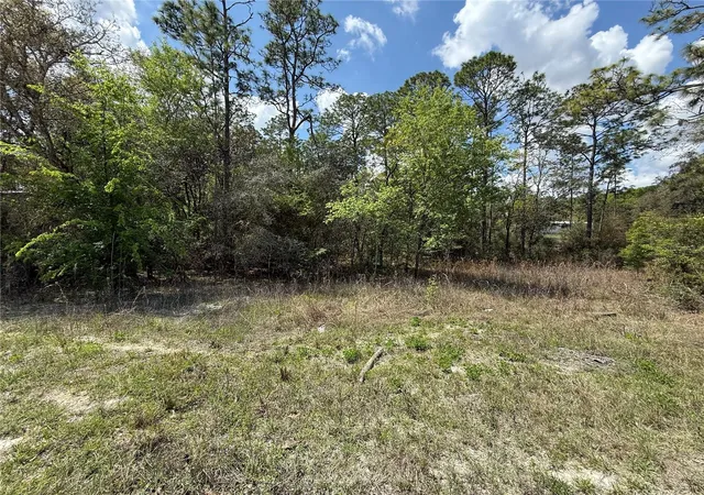 Homes for sale in Morriston, FL | 150th Ave, Morriston, FL 32668 | MLS# OM720868