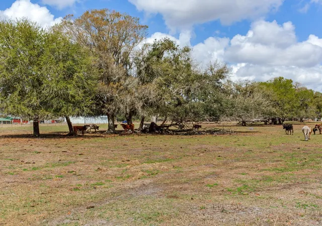 13th image of 0 S Cr 39, Lithia, FL 33547 | MLS# TB8486864
