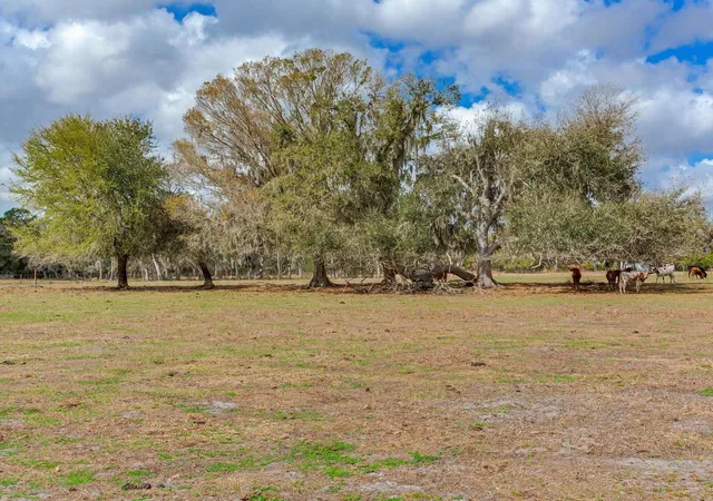 1st image of 0 S Cr 39, Lithia, FL 33547 | MLS# TB8486864