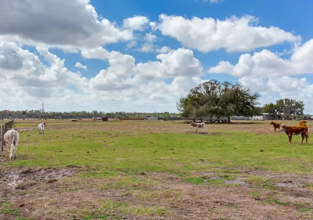 4th image of 0 S Cr 39, Lithia, FL 33547 | MLS# TB8486864